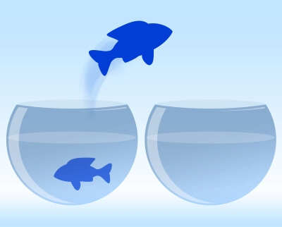 Fish jumping