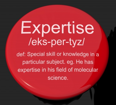 Expertise Meaning