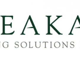 Breakaway Staffing Solutions